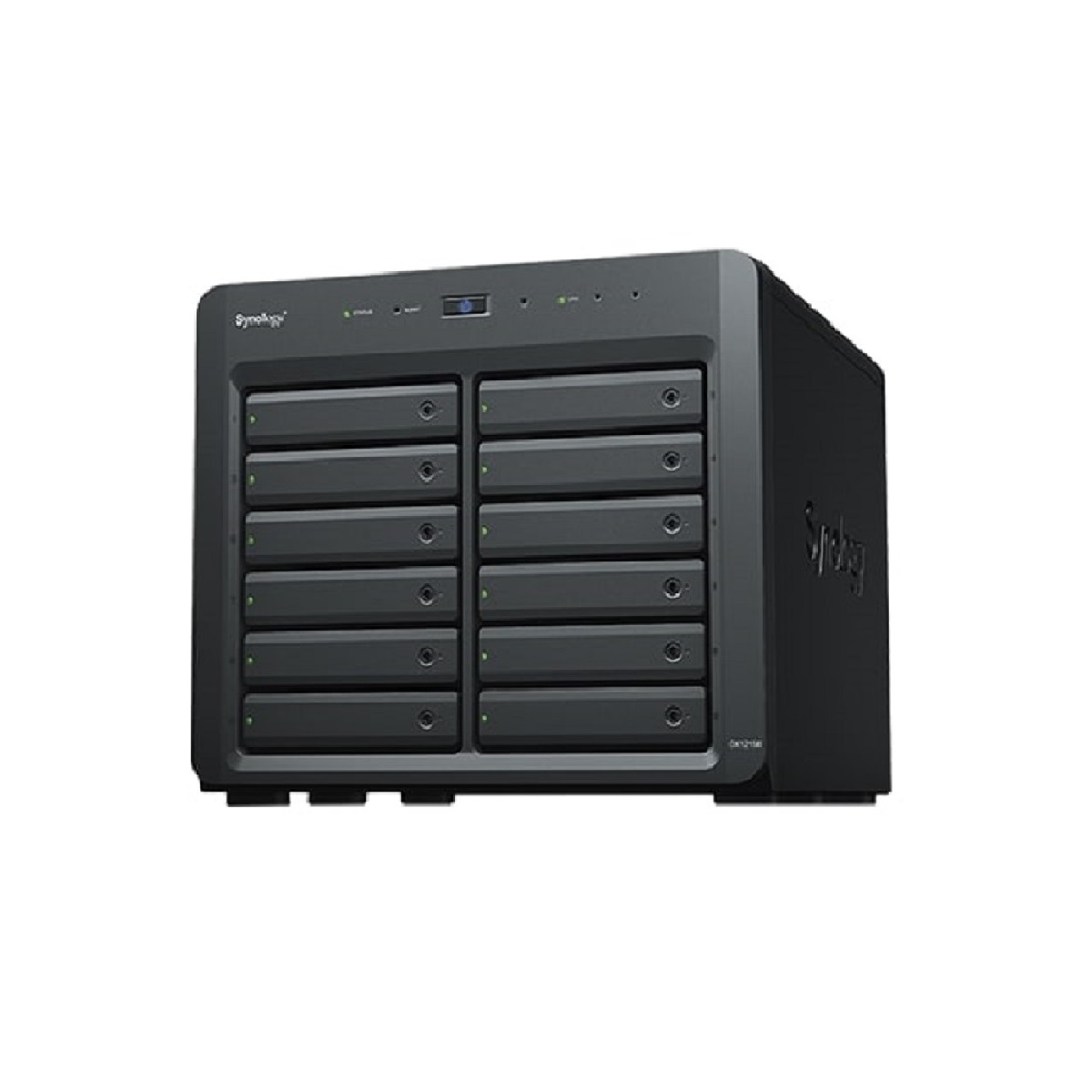 Synology DX1215II 12-Bay NAS Expansion Module Enclosure